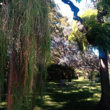 Cabaña en quinta la aurora Mina Clavero Exterior foto